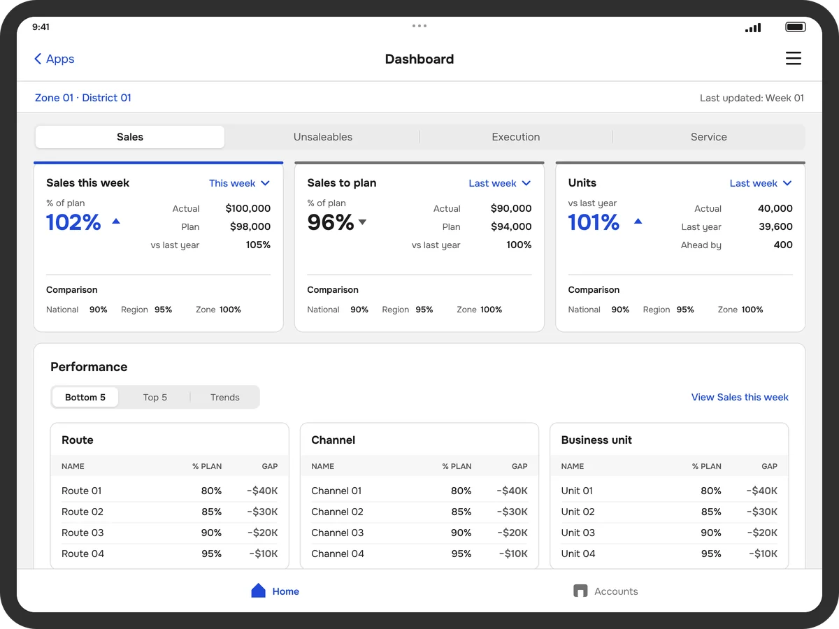 Wireframe of the iPad dashboard: sample sales against plan, sales to plan and units, above the bottom five routes, channels and business units
