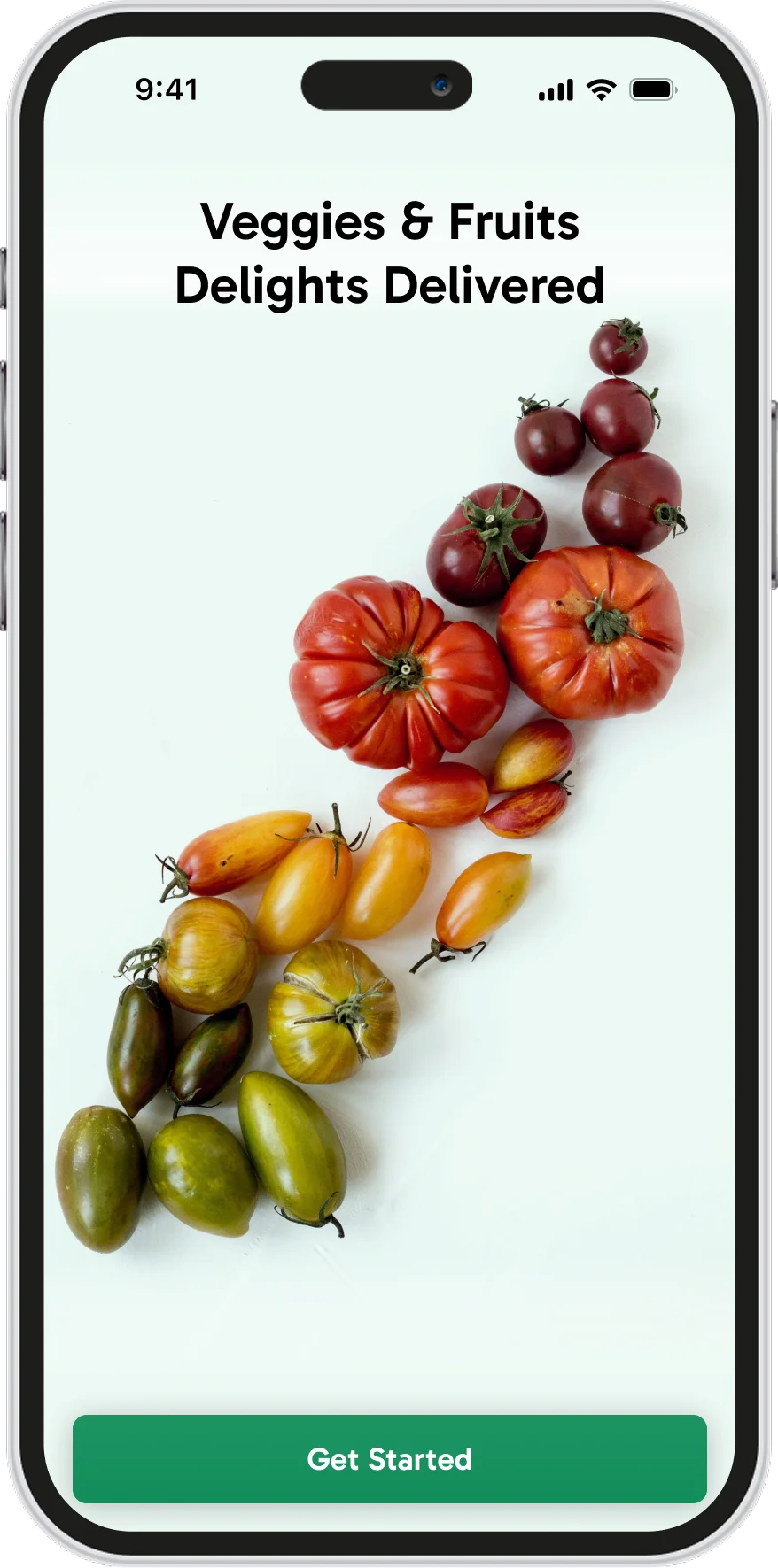 Welcome screen: veggies and fruits delights delivered